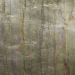 FOREST FIRE (244×122cm)